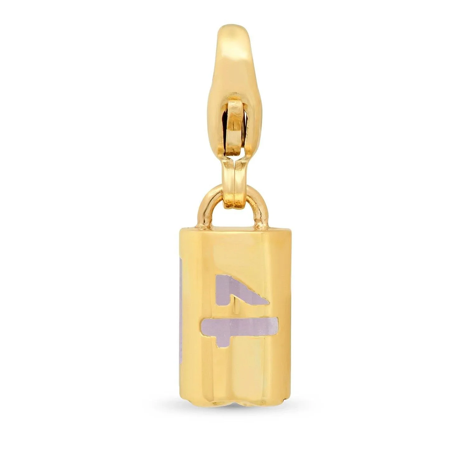 Numerology Charm   Amethyst